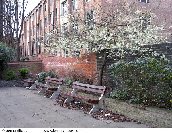 Blossom and benches: St George Street, Leicester, 06 March 2004