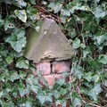 Buttress on churchyard wall covered in ivy, St George's Church, Leicester, 06 March 2004