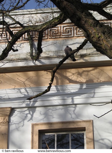 House on New Walk: New Walk, Leicester, 20 March 2004