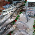 Grey Mulletts and Chamnas (Pomfrets) at R.M.S Seafoods, Leicester Market, Leicester Market, Leicester, 27 March 2004