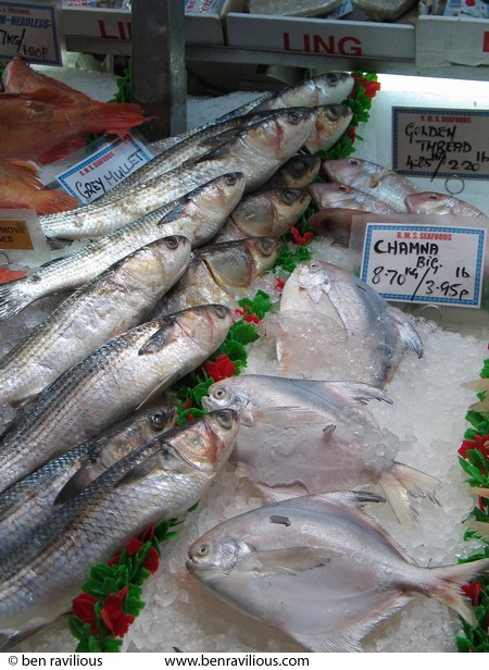 Grey Mulletts and Chamnas (Pomfrets) at R.M.S Seafoods: Leicester Market, Leicester Market, Leicester, 27 March 2004