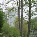 National Space Centre through trees, Wallingford Road, Leicester, 01 May 2004