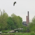 Grand Union Canal & River Soar meet, Abbey Meadows, Leicester, 01 May 2004
