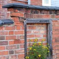 Weeds flowering in a bricked-up window frame, Tower Street, Leicester, 03 May 2004