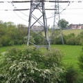 Pylons and hawthorne blossom, Rowley Fields, Leicester, 07 May 2004