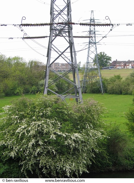 Pylons and hawthorne blossom: Rowley Fields, Leicester, 07 May 2004
