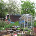 allotment garden, Watermead Park, Leicester, 08 May 2004