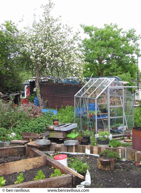allotment garden: Watermead Park, Leicester, 08 May 2004