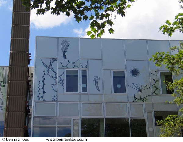 Rear of LCB depot: Rutland Street, Leicester, 22 May 2004