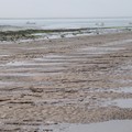 mudflats, Saunton Sands, Braunton, Devon, 06 June 2004