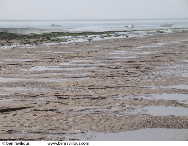 mudflats: Saunton Sands, Braunton, Devon, 06 June 2004