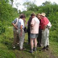 Lepidopterists surround a 'kill', Cloud Wood, Breedon, Leicestershire, 24 July 2004