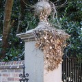 ivy-covered gatepost at Belgrave House, Church Road, Belgrave, Leicester, 07 August 2004