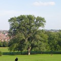 People sitting on the park, Spinney Hill Park, Leicester, 05 September 2004