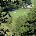 Devon valley through trees, near Chulmleigh, Devon, 14 September 2004
