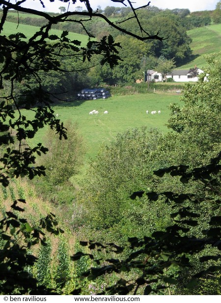 Devon valley through trees: near Chulmleigh, Devon, 14 September 2004