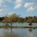 Floods at Watermead Park, Watermead Park, Birstall, Leicester