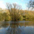 Pool with autumnal colours, Watermead Park, Birstall, Leicester