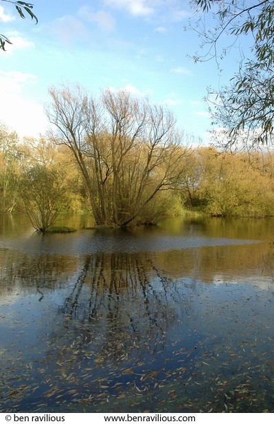 Pool with autumnal colours: Watermead Park, Birstall, Leicester, 24 October 2004