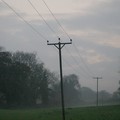 electricity cables in a misty field, Bradgate Park, Leicester, 30 October 2004