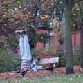 Man meditating upside down on a park bench, Spinney Hill Park, Leicester, 05 November 2004