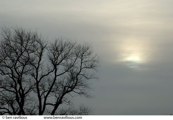 Watery sky and tree tops: Spinney Hill Park, Leicester, 05 November 2004