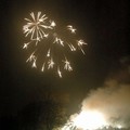 Fireworks, Abbey Park Fireworks 2004, Abbey Park, Leicester, 06 November 2004