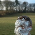 Wotsitsface, Ravenstonedale, Kirkby Stephen, Cumbria, 12 December 2004