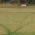 House, Dee Valley, Braemar, Scotland, 29 December 2004