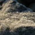 Ice crystals on a boulder, Braemar, Cairngorms, Scotland, 31 December 2004