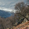 View from Creag Choinnich, Braemar, Cairngorms, Scotland, 31 December 2004