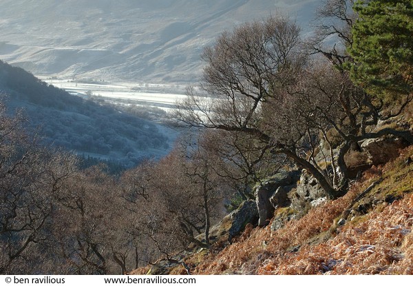 View from Creag Choinnich: Braemar, Cairngorms, Scotland, 31 December 2004
