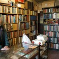 Book and model shop owner, St Nicholas Place, Leicester, 19 February 2005
