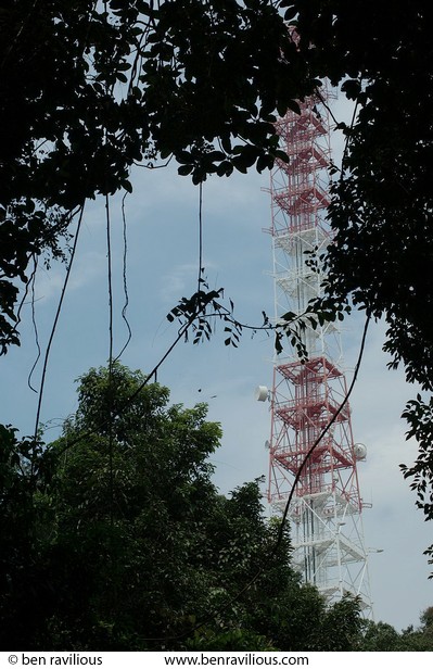 Communication tower in the jungle: Bukit Timah Nature Reserve, Singapore, 05 June 2005