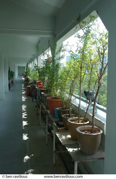 apartment block corridor: Bukit Batok, Singapore, 05 June 2005