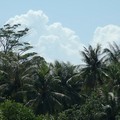 Jungle and clouds, Pulau Ubin, Singapore, 10 June 2005