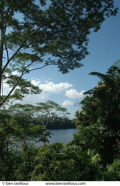 Jungle lake: Pulau Ubin, Singapore, 10 June 2005
