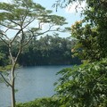 Jungle lake, Pulau Ubin, Singapore, 10 June 2005