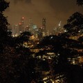 Central business district through trees at night, Mount Faber, Singapore, 10 June 2005