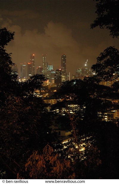Central business district through trees at night: Mount Faber, Singapore, 10 June 2005