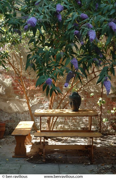 Buddha head on a backyard table: New Walk, Leicester, 16 July 2005