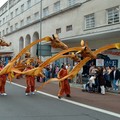 Giraffes at carnival parade, Charles Street, Leicester, 06 August 2005