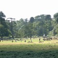 Fun and games, Bradgate Park, Leicestershire, 25 September 2005