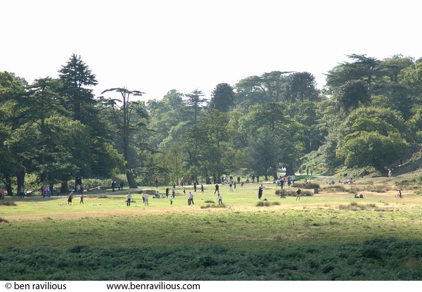 Fun and games: Bradgate Park, Leicestershire, 25 September 2005
