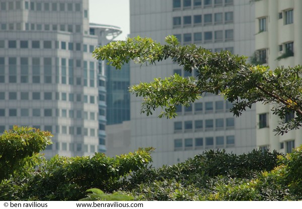 Central Business District from Fort Canning: Fort Canning, Singapore, 16 December 2005