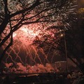 New Year's fireworks through the trees, Marina Bay, Singapore, 01 January 2006