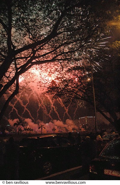 New Year's fireworks through the trees: Marina Bay, Singapore, 01 January 2006