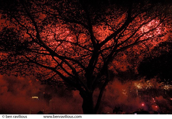 New Year's fireworks through a tree: Marina Bay, Singapore, 01 January 2006