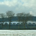 Row of houses on a hill, Peak District, near Buxton, Derbyshire, 06 March 2006