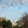 The London Eye from St James's Park, Westminster, London, 11 March 2006